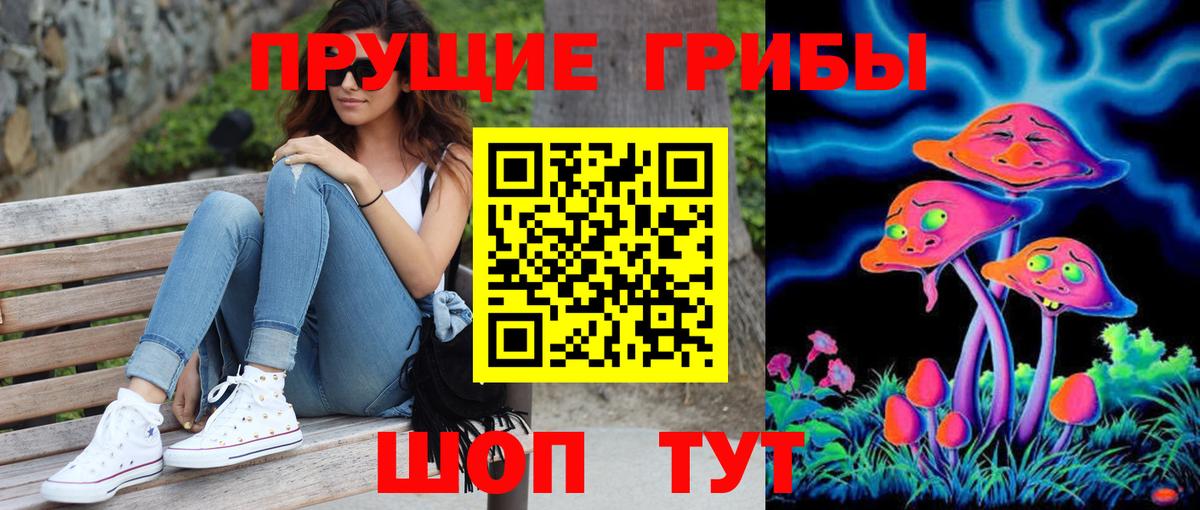 Тында  Псилоцибиновые грибы MAGIC MUSHROOMS  Вход с VPN 