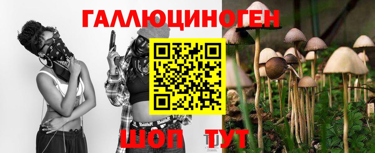 Псилоцибиновые грибы ЛСД Тында